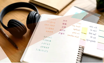 Công Ty Dịch Thuật Nhất Tại Quảng Nam